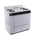 BLK100WP